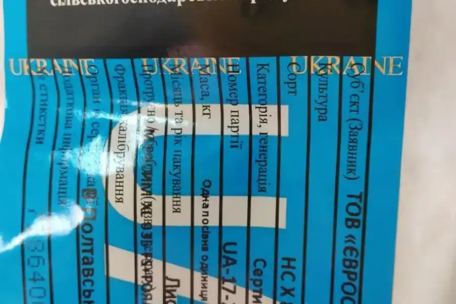 Продам насіння соняшнику Евро, Суліко,ТОР,Авалон