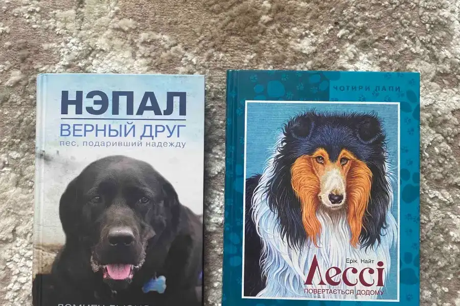 Книги для підлітків