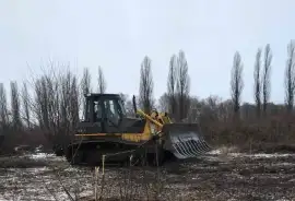 Послуги з корчування садів, дерев, пеньків 