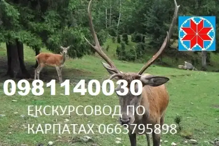 Екскурсії по карпатах 0981140030