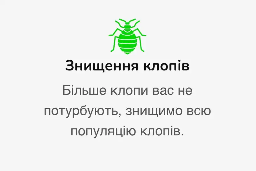 Дизайн та техническое обслуживание, Уборщики