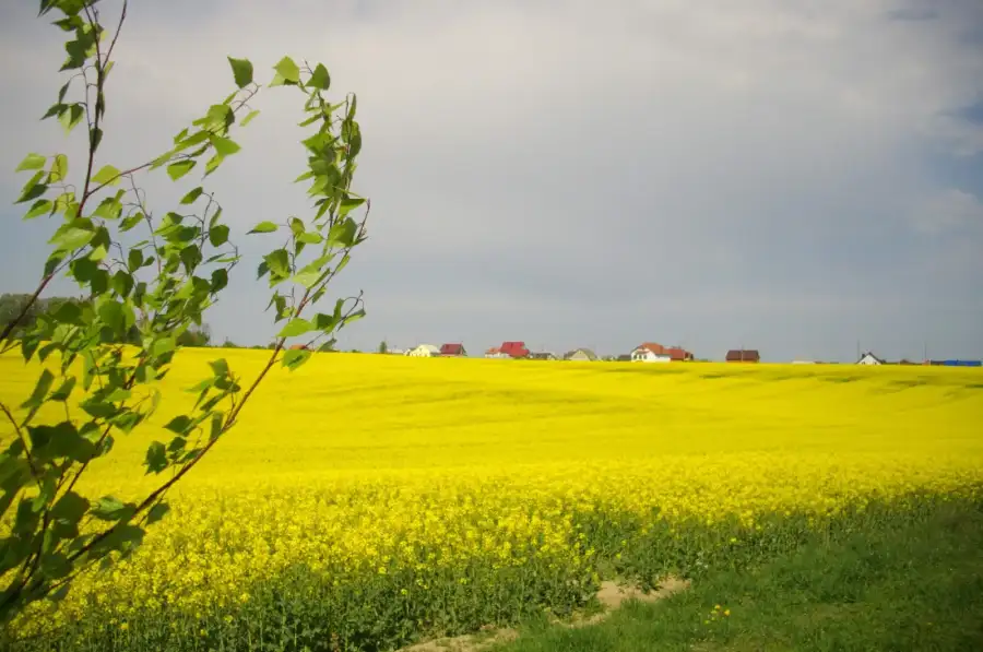 Продам дачу! Луцьк, район вул. Львівсько