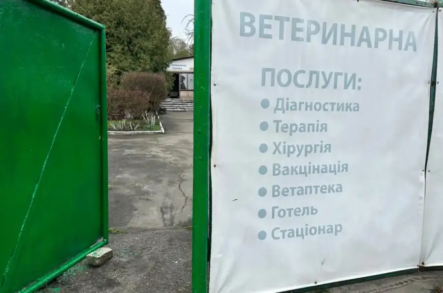 Послуги за тваринами, Ветеринари