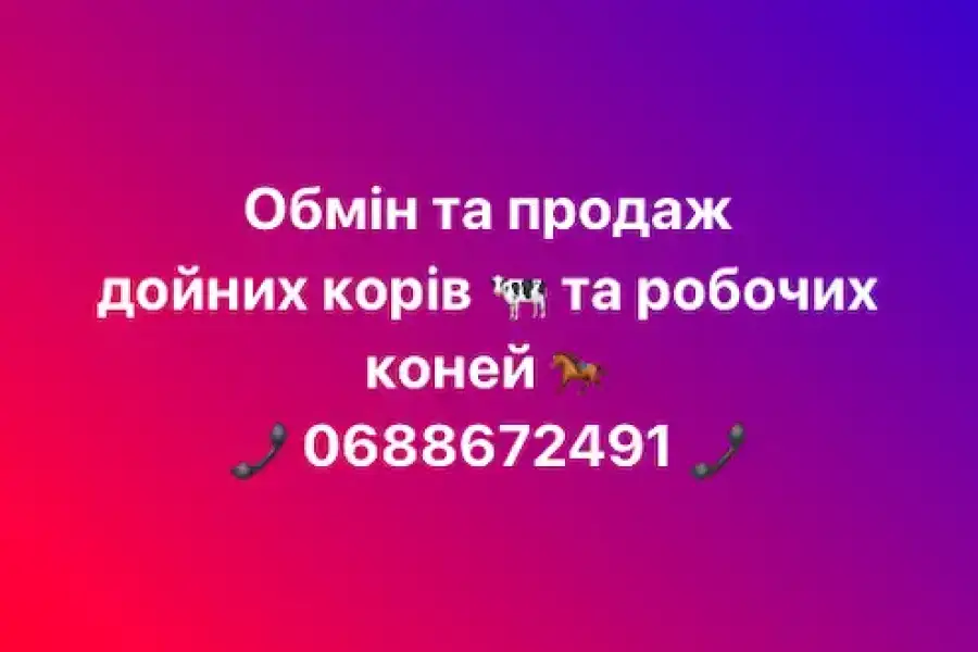 Обмін та продаж дойних корів, робочих коней 