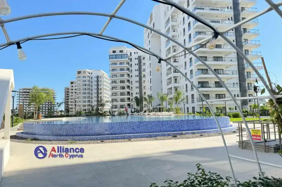 AllianceNC is your trusted partner in real estate 