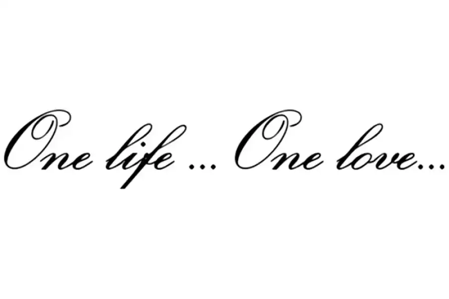 Наклейка One Life.One Love - одна жизнь одна любов