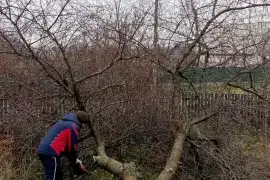 Дизайн та технічне обслуговування, Послуги з утримання нерухомості