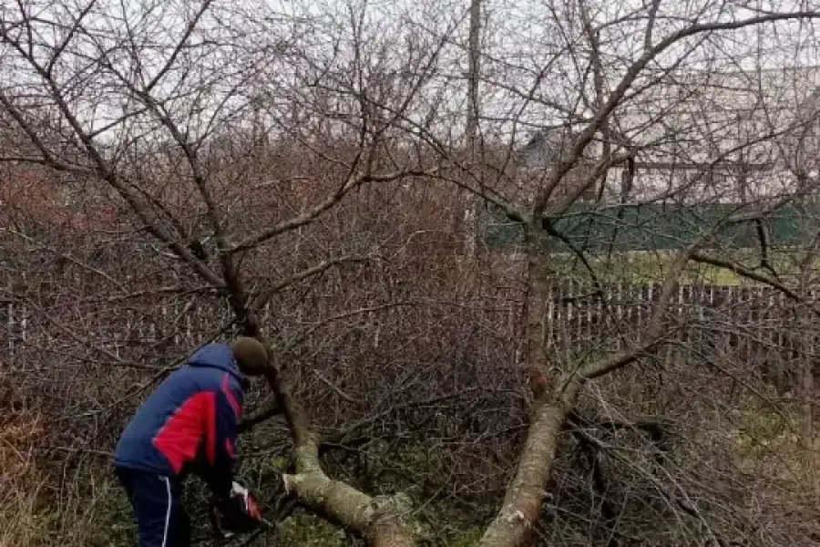 Дизайн та техническое обслуживание, Услуги по содержанию недвижимости